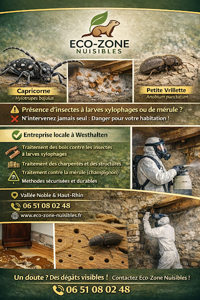 Eco-Zone Nuisibles, Désinsectiseur - Dératiseur à Westhalten