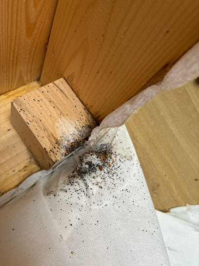 C'clean Désinsectiseur - Dératiseur à Asnières-sur-Seine