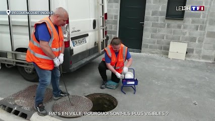 Poulain Environnement Services, Désinsectiseur et Dératiseur à Waziers