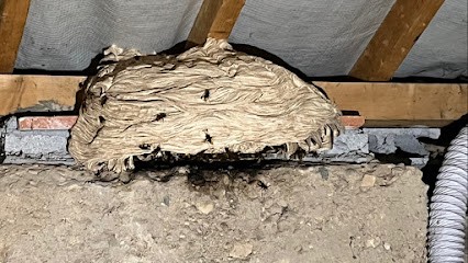 Nuisible Party dératiseur desinsectiseur, Désinsectiseur et Dératiseur à Vienne