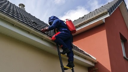 AJ Nuisibles Normand Guêpes Frelons Taupes Rats, Désinsectiseur et Dératiseur à Saint-Ouen-le-Mauger