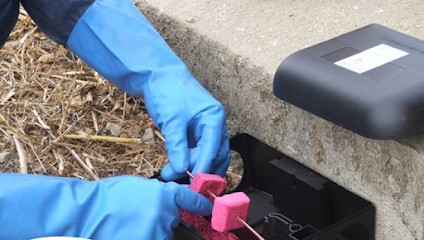 S 31, Désinsectiseur et Dératiseur à Aussonne