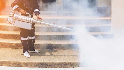 MDT PROTECT, Dératisation, Désinsectisation, Désinfection, Ain, Meximieux, Désinsectiseur et Dératiseur à Meximieux