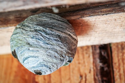 Chimtox Sas, Désinsectiseur et Dératiseur à La Colle-sur-Loup