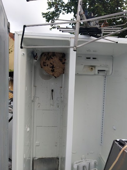 Stop frelons Charente, Désinsectiseur et Dératiseur à Chadurie