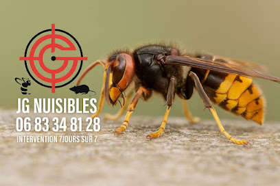 Jg Destruction Nuisibles, Désinsectiseur - Dératiseur à Bonny-sur-Loire