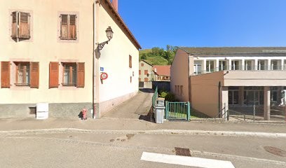 StopCockroach, Désinsectiseur et Dératiseur à Sainte-Marie-aux-Mines