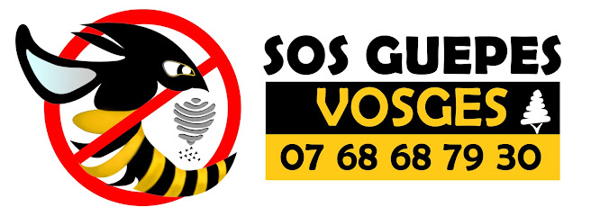 Sos Guêpes Vosges, Désinsectiseur - Dératiseur à Xonrupt-Longemer