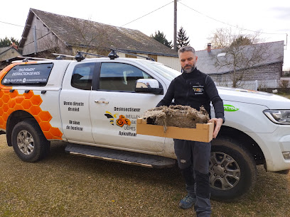 A.f.g. Abeilles Frelons Guêpes Nuisible Désinsectiseur Et Apiculteur En Maine Et Loire Et Sarthe Désinsectiseur - Dératiseur à Baugé-en-Anjou