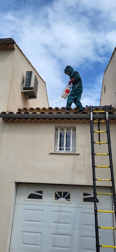D2N - Destruction de Nuisibles - Dératisation Frelon Guêpes, Désinsectiseur et Dératiseur à Puget-sur-Argens