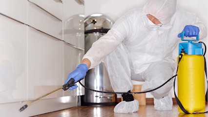 N HLA PRESTATIONS, Désinsectiseur et Dératiseur à Cazères