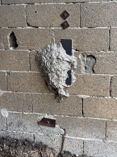 C . E Destruction, Désinsectiseur et Dératiseur à Verrières