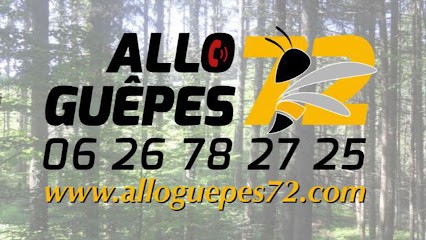 Alloguêpes72, Désinsectiseur et Dératiseur à Tuffé Val de la Chéronne