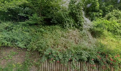 NUISIBLES 60, Désinsectiseur et Dératiseur à Jaux