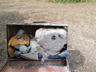 D.F.G Destruction Frelons Et Guêpes, Désinsectiseur et Dératiseur à Saint-Genest-d'Ambière