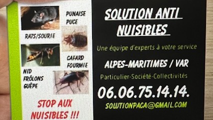Solutions anti nuisibles entreprises agréé 15 ans d expérience, Désinsectiseur et Dératiseur à Cannes