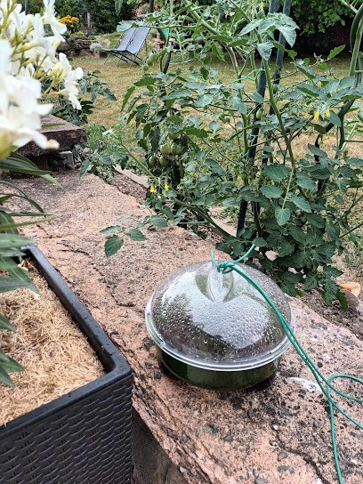 Sarre Nuisibles, Désinsectiseur et Dératiseur à Hilbesheim