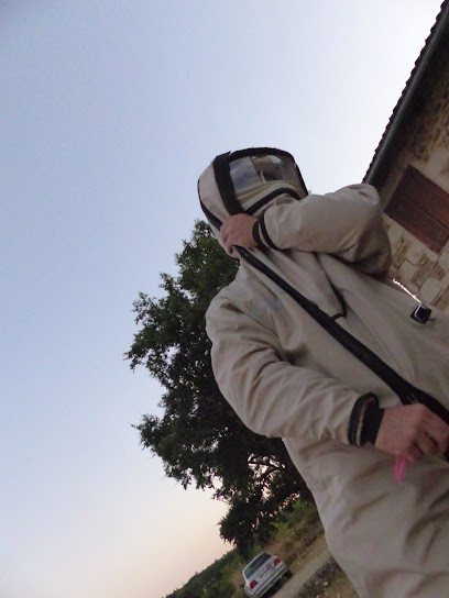 NUISIBLES ET SERVICES, Désinsectiseur et Dératiseur à Linards