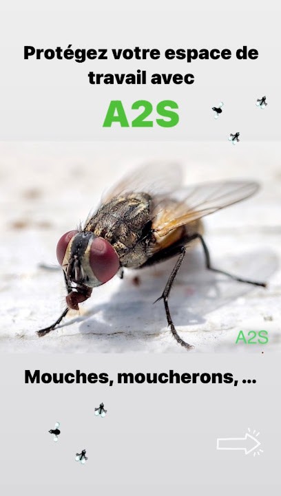 A2S Atlantique Services Sécurité, Désinsectiseur et Dératiseur à Saint-Nazaire