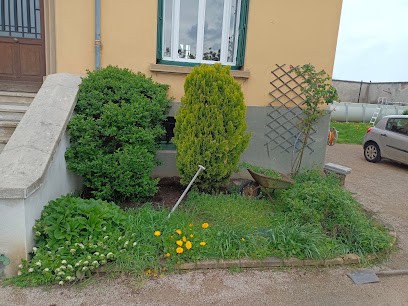 Forez Vert, Désinsectiseur et Dératiseur à Saint-Galmier