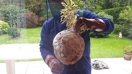 GUEPES ESRD, Désinsectiseur et Dératiseur à Méricourt