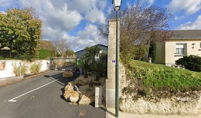 Destruction de nids de frelons asiatiques (COUANNET Paysage), Désinsectiseur et Dératiseur à Antoigné