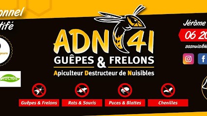 ADN41 Guepes Frelons, Désinsectiseur et Dératiseur à Saint-Amand-Longpré