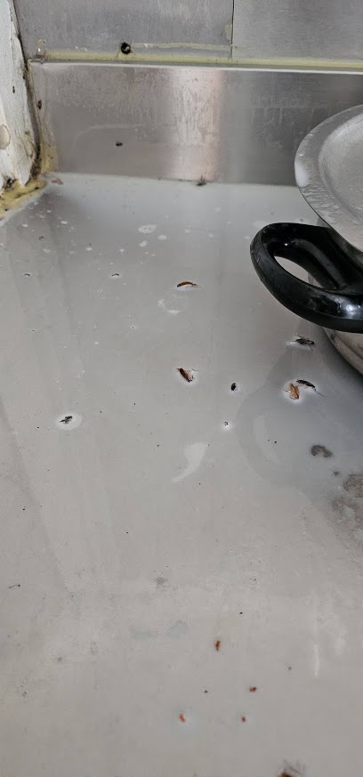 Ms Nuisibles Désinsectiseur - Dératiseur à Marseille 11