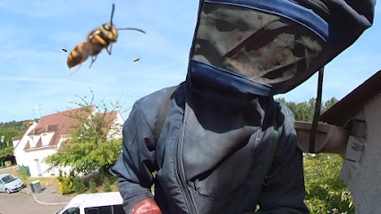 BBCG Anti-nuisibles, Désinsectiseur et Dératiseur à Compiègne