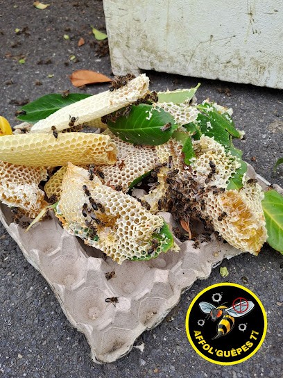 AFFOL’GUÊPES 77, Désinsectiseur et Dératiseur à Rouvres