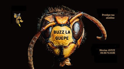 Buzz La Guêpe (Désinsectisation Dératisation Désinfection), Désinsectiseur et Dératiseur à Mesnil-en-Ouche