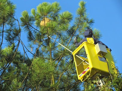 L.G.F Landes Guêpes Frelons, Désinsectiseur et Dératiseur à Toulouzette