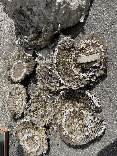 Crochet Espaces Verts, Désinsectiseur et Dératiseur à Matafelon-Granges