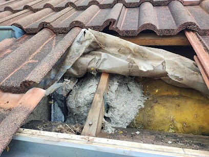 Apis 52, Désinsectiseur et Dératiseur à Torcenay