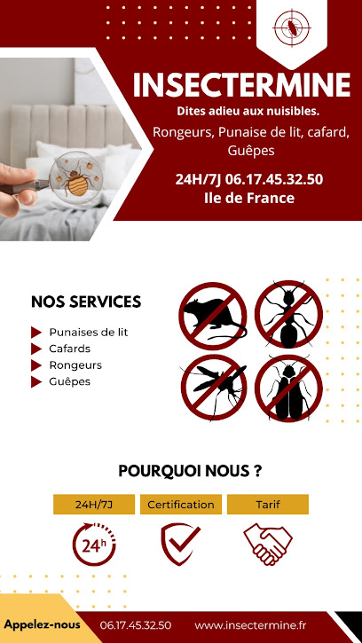 Insectermine - Dératisation Et Éradication Des Punaises De Lit, Désinsectiseur - Dératiseur à Fleury-Mérogis