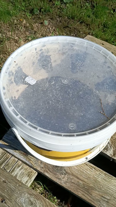 v3dhygiene, Désinsectiseur et Dératiseur à Fontenay-le-Comte