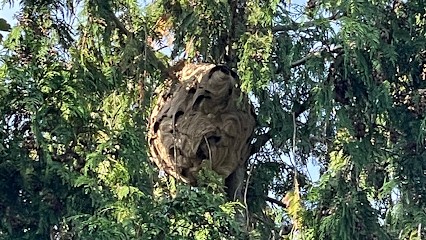 DF3M's, Désinsectiseur et Dératiseur à Champs-sur-Marne