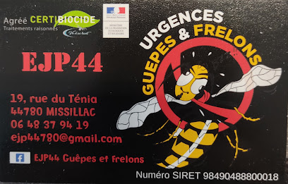 Ejp44 Guêpes Et Frelons, Désinsectiseur - Dératiseur à Missillac