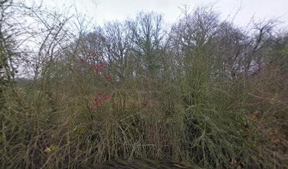 Xnuisibles, Désinsectiseur et Dératiseur à Villeneuve-le-Comte