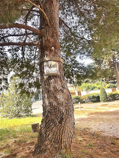 EXTERMINATOR Nuisibles - Traitement Punaise De Lit Et Cafards - Nid De Guêpe Et Frelons à Marseille - Chenilles, Désinsectiseur et Dératiseur à Marseille 10