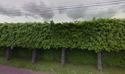 AERO GUEPES, Désinsectiseur et Dératiseur à La Drenne