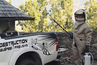 Destruction Guêpes Frelons, Désinsectiseur et Dératiseur à Vier-Bordes