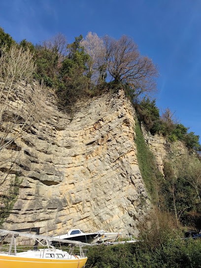 S.O.S GUÊPES ET FRELONS, Désinsectiseur et Dératiseur à Urrugne