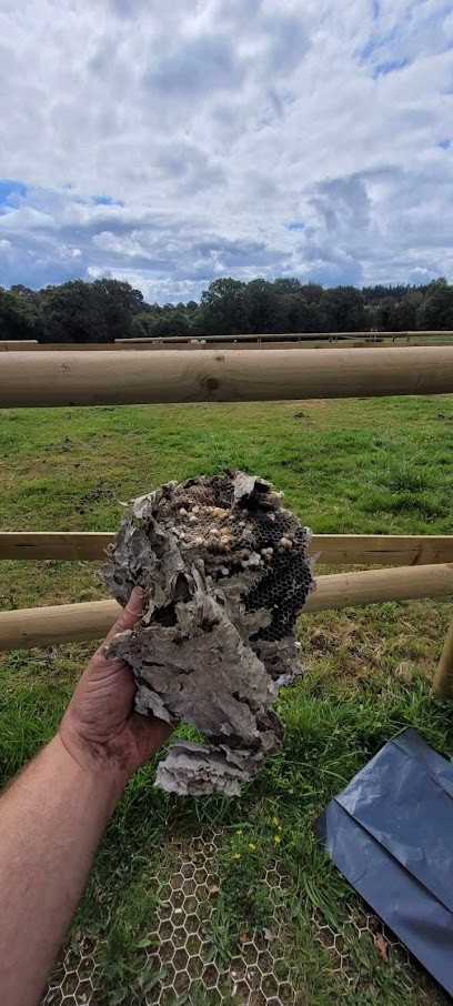 Alerte Insectes, Désinsectiseur et Dératiseur à Guiscriff