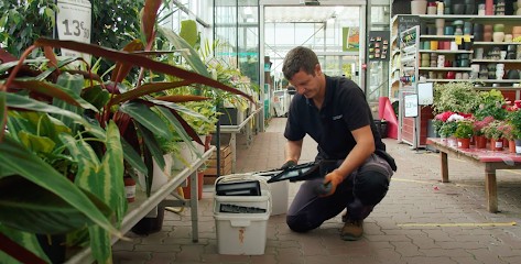 ETS Aurouze - Enterprise and exterminating, Désinsectiseur et Dératiseur à Mormant