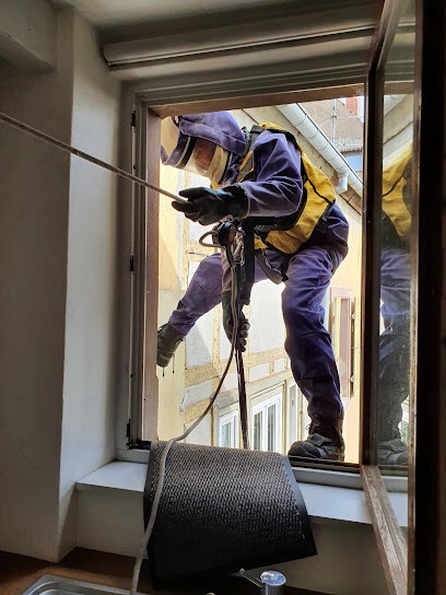 Destruction Nid De Guêpes 67/68 - Destruction Nid De Guêpes Alsace - Bas Rhin - Haut Rhin Destrunid, Désinsectiseur et Dératiseur à Benfeld