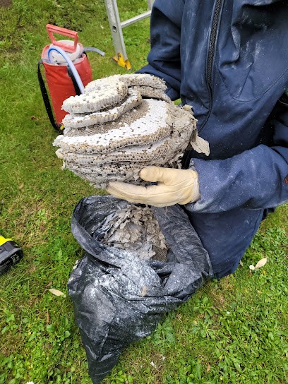 Stop Guêpes 54, Désinsectiseur et Dératiseur à Dombasle-sur-Meurthe