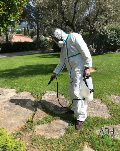 ADH NUISIBLES - Dératisation Désinsectisation Désinfection Dépigeonnage, Désinsectiseur et Dératiseur à Marseille 07