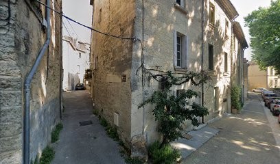 Frelons.nuisibles, Désinsectiseur et Dératiseur à Uzès