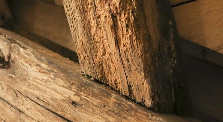 PARAXILOCENTRE, Désinsectiseur et Dératiseur à Saint-Doulchard